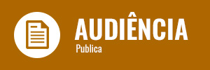 Audiencia Publica